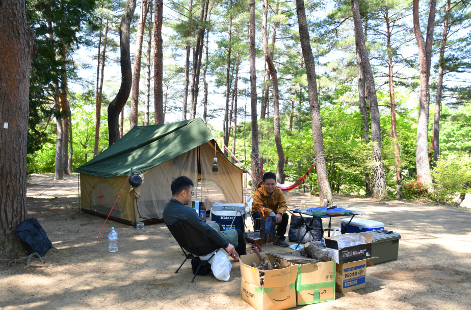 Camping in the sunlight filtering through the trees