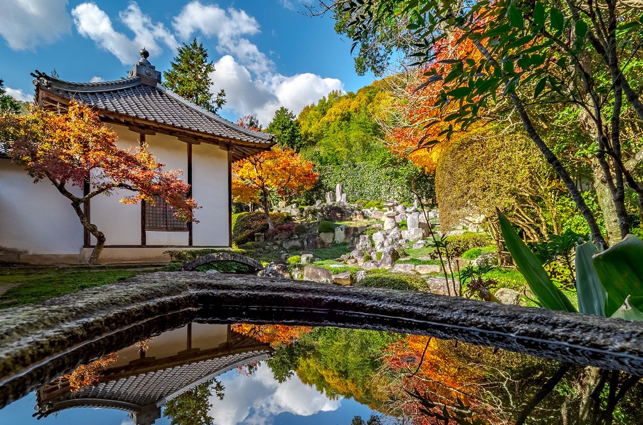 秋の大通寺